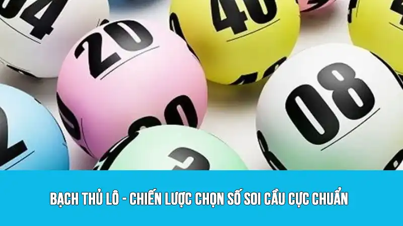 Bạch thủ lô - Chiến lược chọn số soi cầu cực chuẩn