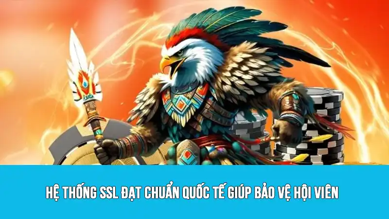 Hệ thống SSL đạt chuẩn quốc tế giúp bảo vệ hội viên