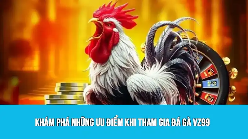 Khám phá những ưu điểm khi tham gia đá gà VZ99
