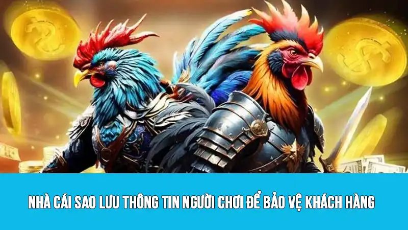 Nhà cái sao lưu thông tin người chơi để bảo vệ khách hàng