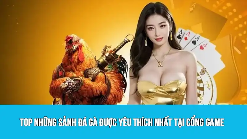Top những sảnh đá gà được yêu thích nhất tại cổng game