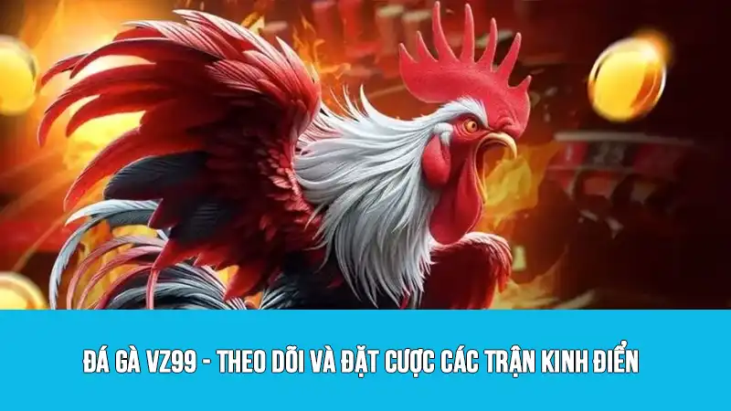 Đá Gà VZ99 - Theo Dõi Và Đặt Cược Các Trận Kinh Điển
