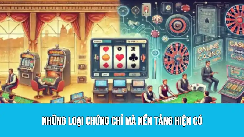 Những loại chứng chỉ mà nền tảng hiện có