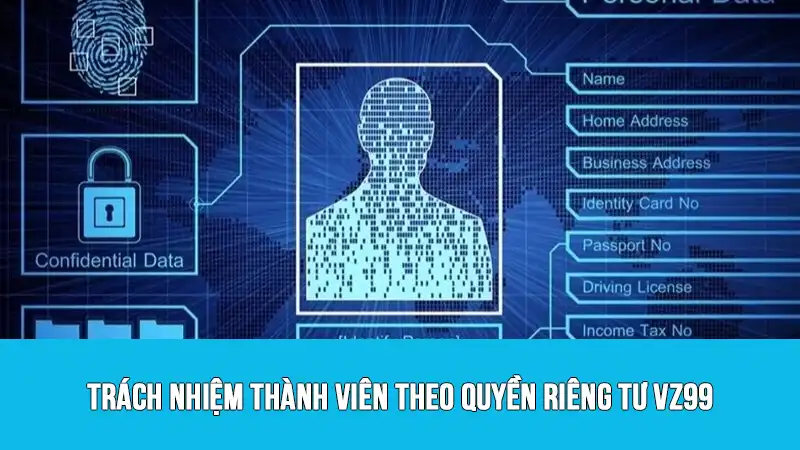 Trách nhiệm thành viên theo quyền riêng tư VZ99