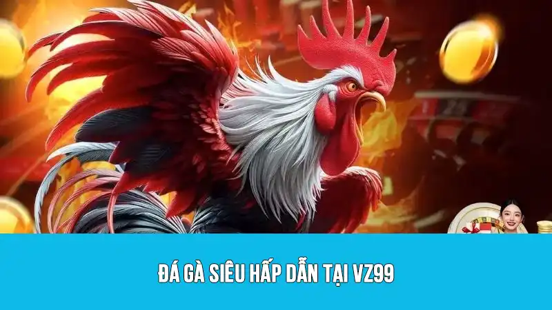 Đá gà siêu hấp dẫn tại VZ99